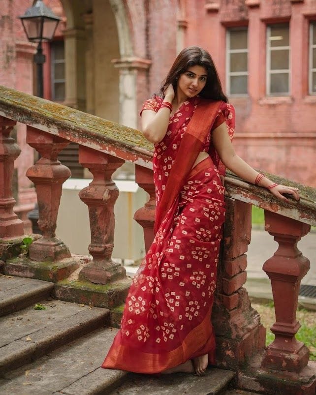 Rajisthani Handblocked - Red